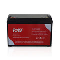 ESG 12V/24V LiFePO4 Battery 100-200Ah in ABS Case with Smart BMS for Solar and Telecom Backup PRIME RJ SOLAR PH