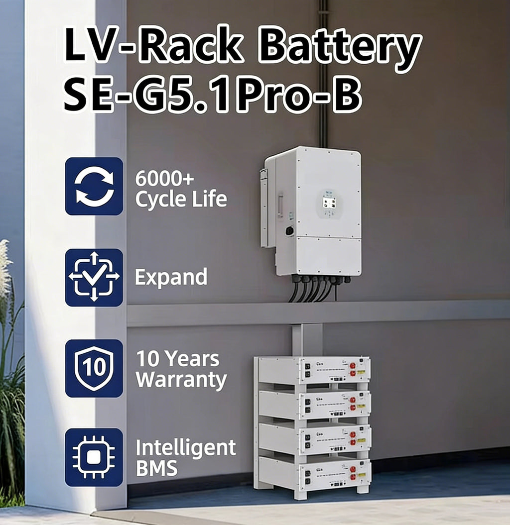 Deye SE-G5.1 Pro-B 51.2V LiFePO4 Battery Pack 10kWh 20kWh 500AH High Voltage Solar Energy Storage System in Stock