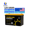 GoKWh Bluetooth 12V 100Ah Battery Lifepo4 LFP 12.8V 100A 200Ah Lithium Ion Solar Pack Battery 300Ah 24V Lithium Ion Batteries PRIME RJ SOLAR PH