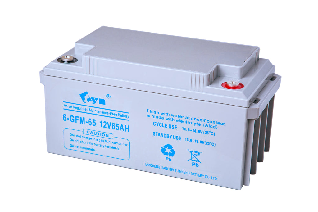 12V65Ah Maintenance-Free Deep Cycle Lead Acid Battery with Long Cycle Life