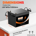 Lianpaiyaun 12V 100Ah LiFePO4 RV Battery U206 LED Display 6000 Cycles CE  Certified Deep Cycle Lithium Iron Phosphate