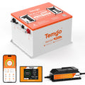 TEMGO Lifepo4 Golf Car Battery Lithium Battery 100ah 48v 72v 36v for Electric Vehicle PRIME RJ SOLAR PH