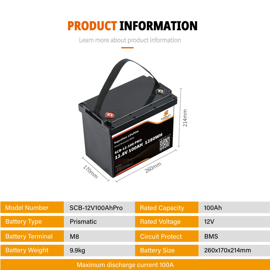 12V100AH PRO LiFePO4 4000-Cycle Li-ion Battery From Jiangxi Shipped Directly to EU Countries with Bluetooth and BM Protection