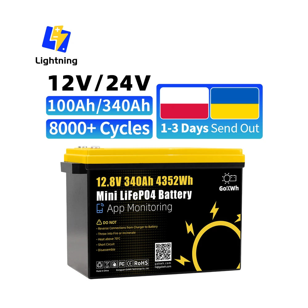 Polish Warehouse Germany Poland 12V 24V 100Ah 200Ah 300Ah Lifepo4 BYD IP65 12.8V Lithium Iron Phosphate RV Outdoor Solar Battery PRIME RJ SOLAR PH