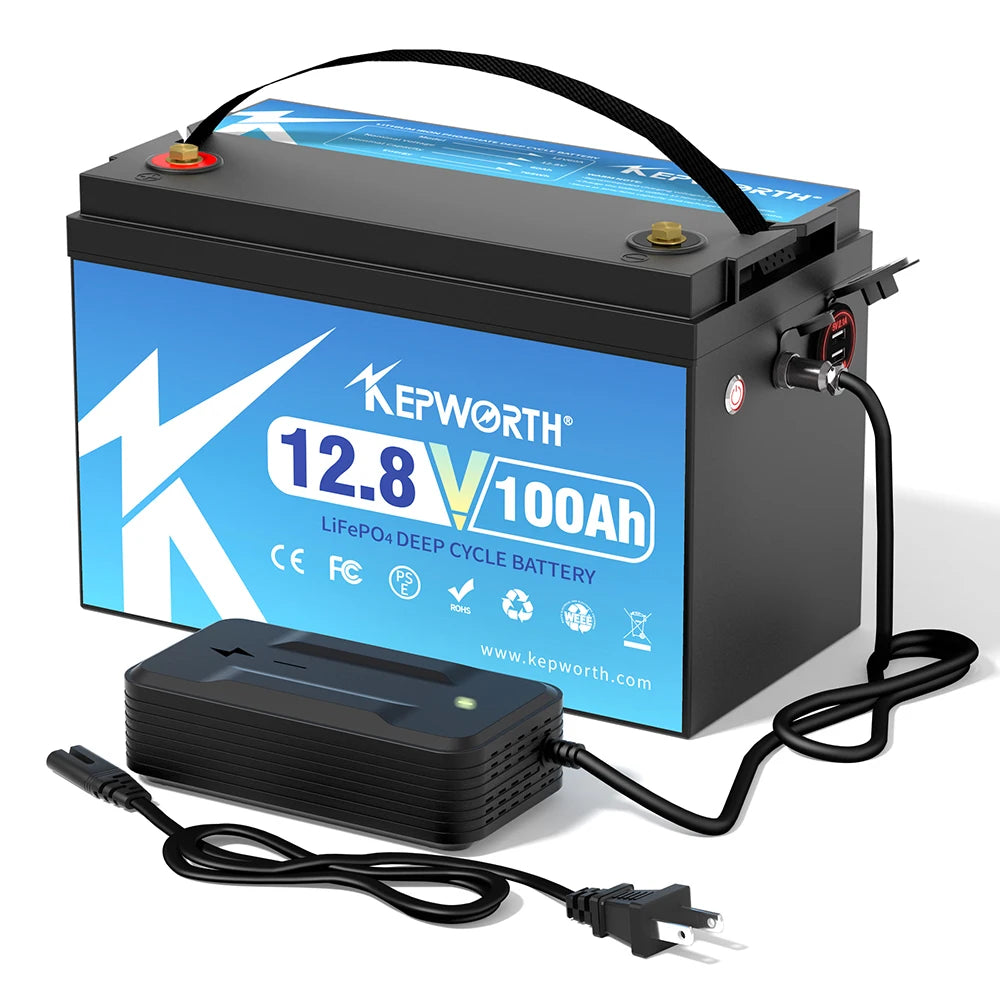 LiFePO4 Battery Pack 12V 24V 50AH 100AH 200AH Lithium Iron Phosphate Rechargeable Battery Built-in BMS RV Boats Motor Forklift