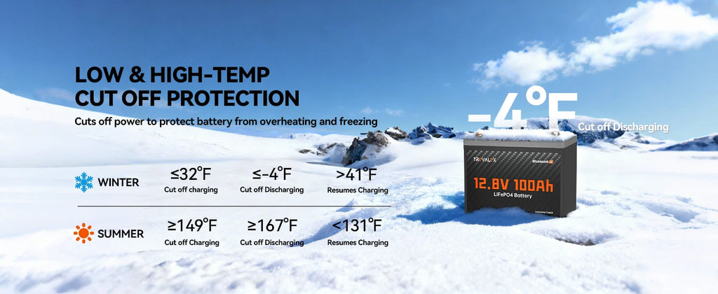 TRUVALUX 12V 100Ah LiFePO4 Bluetooth Lithium Battery Group24 Size Smart 100A BMS 6000+cycles1.28kWh Deep Cycle Solar Storage RV PRIME RJ SOLAR PH