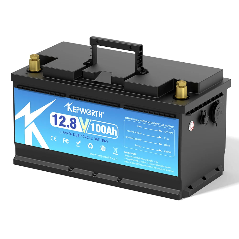 LiFePO4 Battery Pack 12V 24V 50AH 100AH 200AH Lithium Iron Phosphate Rechargeable Battery Built-in BMS RV Boats Motor Forklift