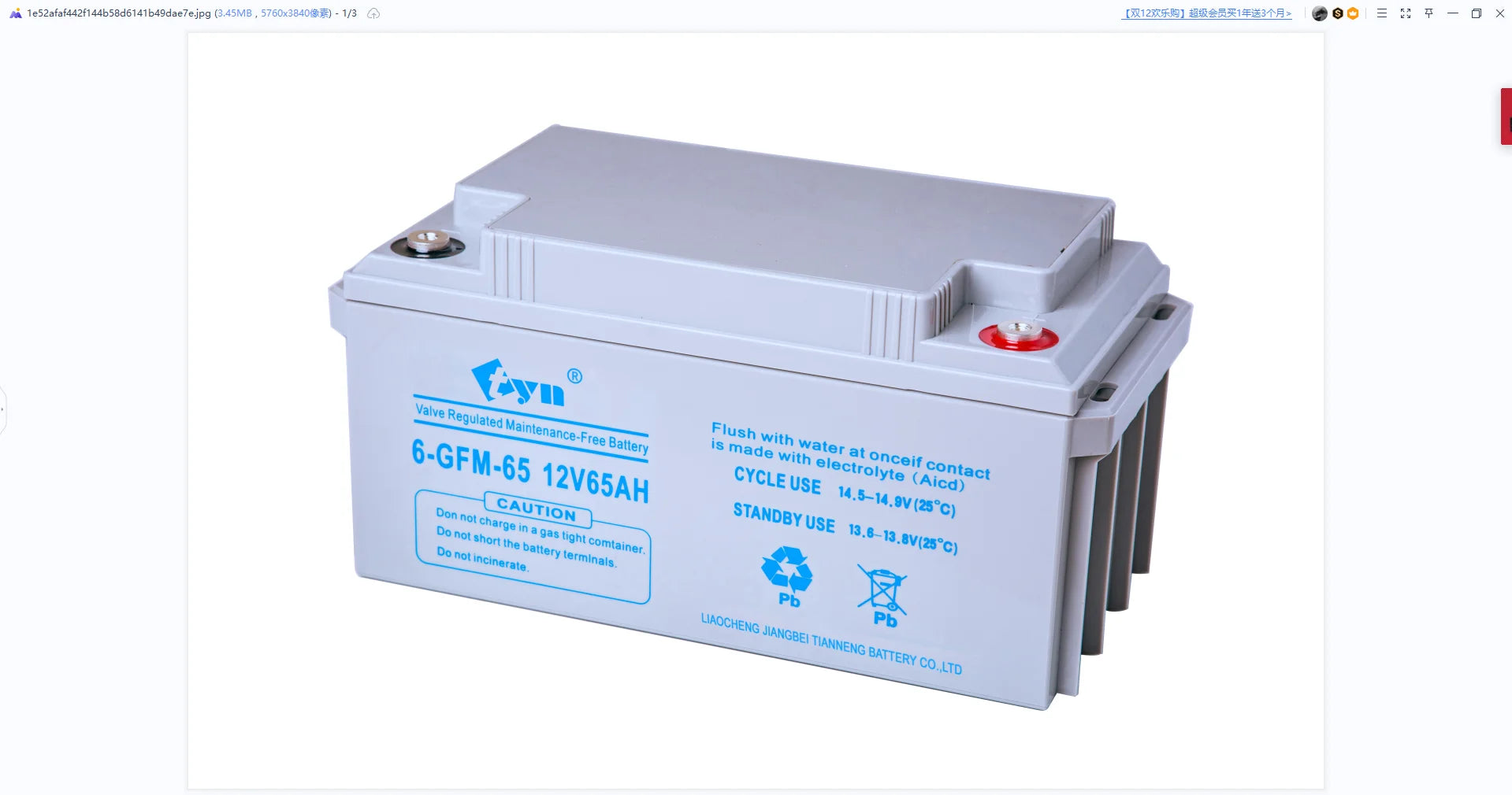 12V65Ah Maintenance-Free Deep Cycle Lead Acid Battery with Long Cycle Life