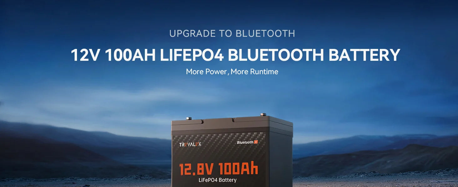 TRUVALUX 12V 100Ah LiFePO4 Bluetooth Lithium Battery Group24 Size Smart 100A BMS 6000+cycles1.28kWh Deep Cycle Solar Storage RV PRIME RJ SOLAR PH