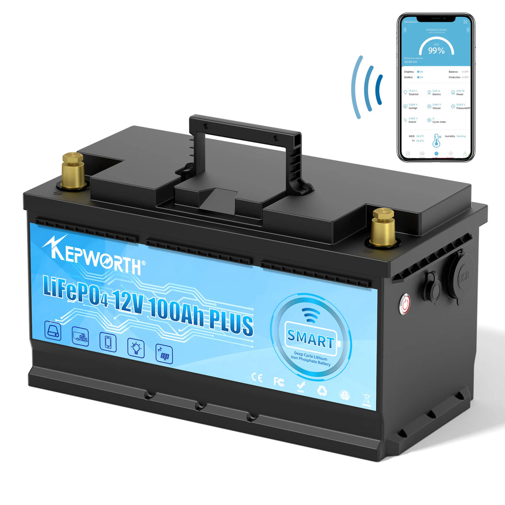LiFePO4 Battery Pack 12V 24V 50AH 100AH 200AH Lithium Iron Phosphate Rechargeable Battery Built-in BMS RV Boats Motor Forklift