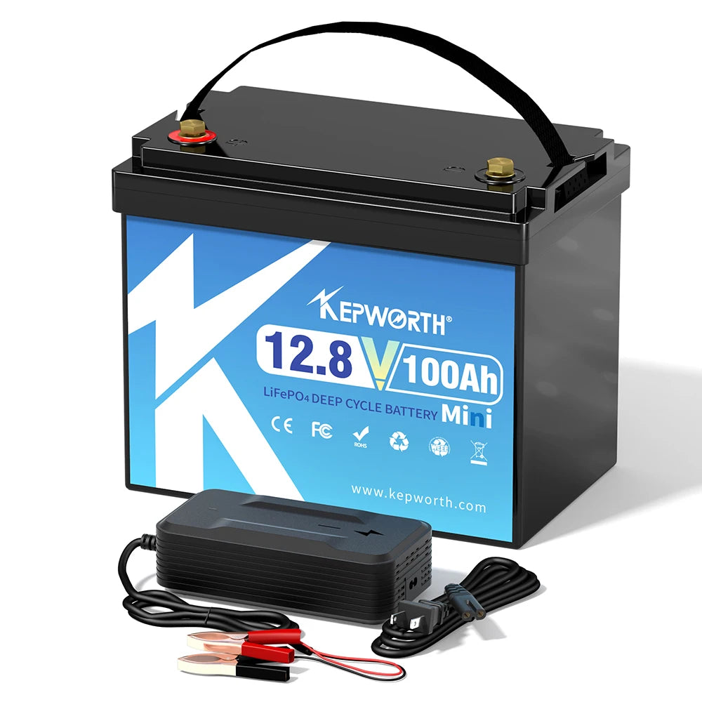 LiFePO4 Battery Pack 12V 24V 50AH 100AH 200AH Lithium Iron Phosphate Rechargeable Battery Built-in BMS RV Boats Motor Forklift