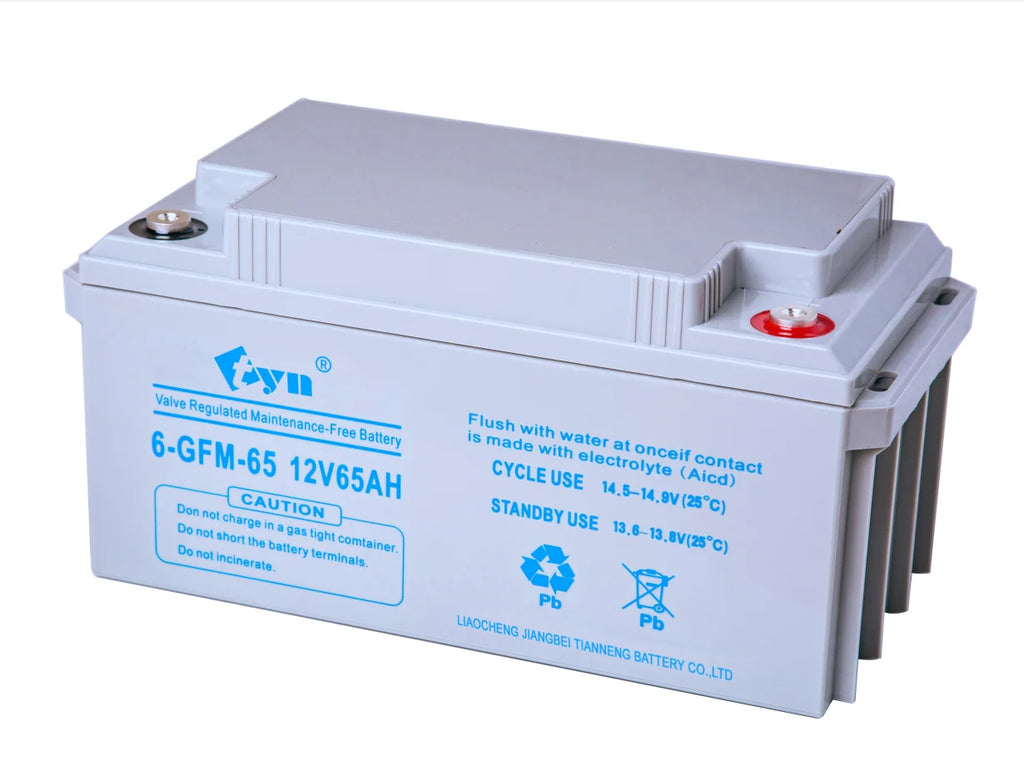12V65Ah Maintenance-Free Deep Cycle Lead Acid Battery with Long Cycle Life