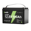 100Ah 200Ah 300Ah Lifepo4 Battery 24V High-Capacity 12V 100Ah/200Ah Lifepo4 Battery for Solar Storage and RV Boat Car Truck