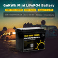 Poland EU Stock Free Shipping 12V 24V 100Ah 200Ah Lifepo4 12.8V LFP Lithium Iron Phosphate Camping Car RV Solar Storage Battery PRIME RJ SOLAR PH