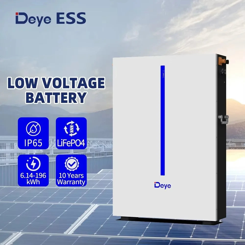 Deye 6.14KWh 51.2V 120Ah IP65 LiFePO4 Battery RW-M6.1-B High Safety Wall Mounted Energy Storage Battery for Home Solar PRIME RJ SOLAR PH